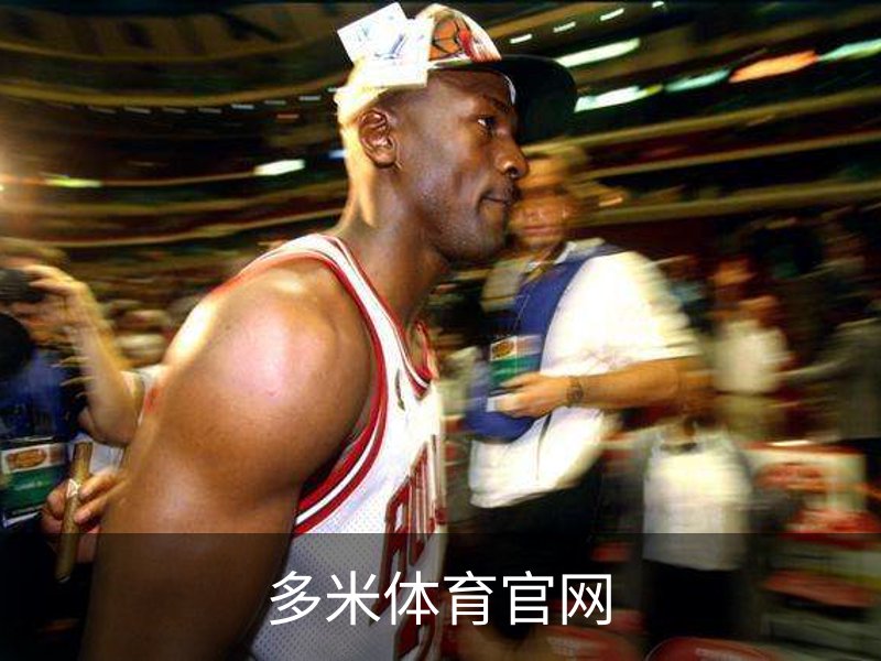多米体育官网概况